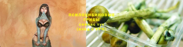 ALPHA-PVP Архангельск