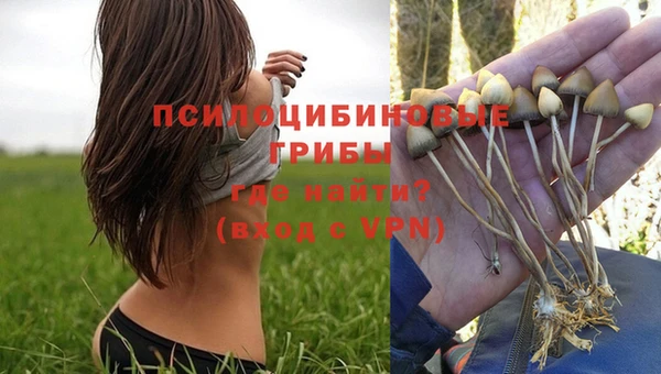 крисы Абдулино