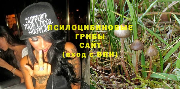 крисы Абдулино