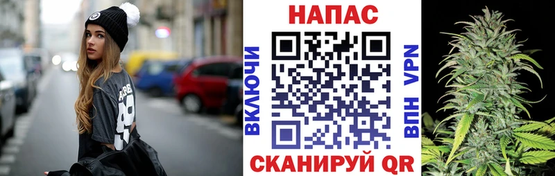 Канабис планчик  Руза 